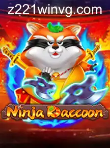 NinjaRaccoon